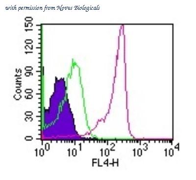 Novus Biologicals NBP2-36736 image 1