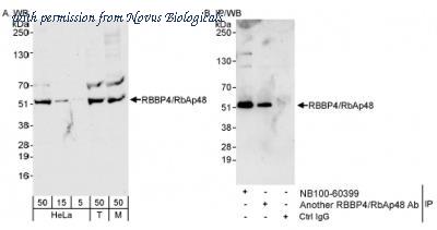 Novus Biologicals NB100-60399 image 1