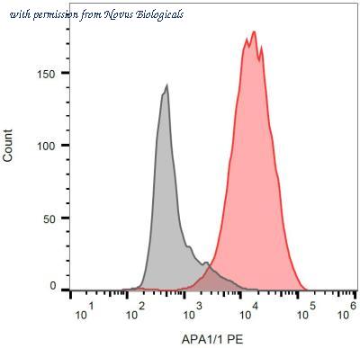 Novus Biologicals NBP1-30426 image 1