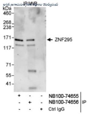 Novus Biologicals NB100-74655 image 1