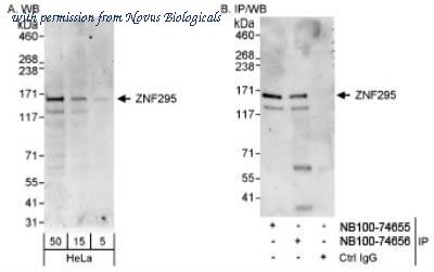 Novus Biologicals NB100-74656 image 1