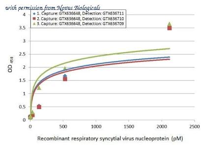 Novus Biologicals NBP3-25632 image 1