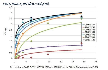 Novus Biologicals NBP3-25671 image 1