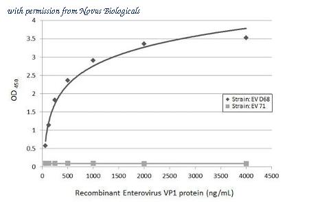 Novus Biologicals NBP3-25452 image 1