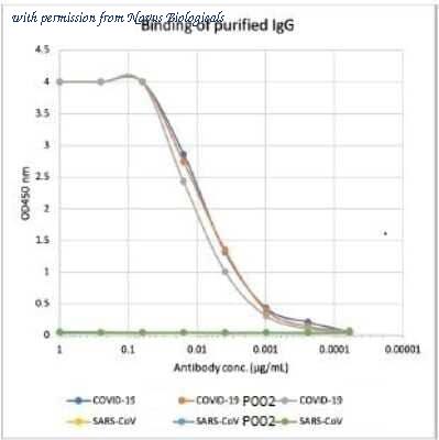 Novus Biologicals NBP3-07041 image 1
