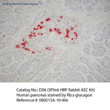 OriGene D06-6 image 1