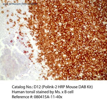 OriGene D12-18 image 1