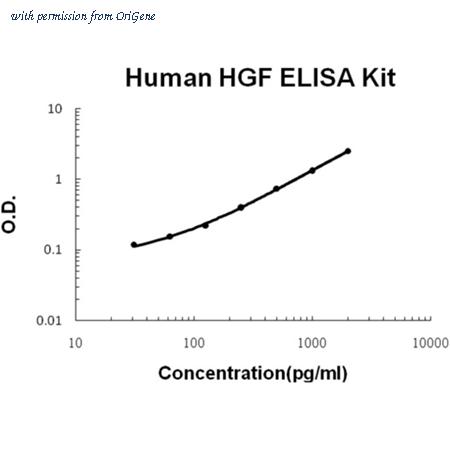 OriGene EA100243 image 1