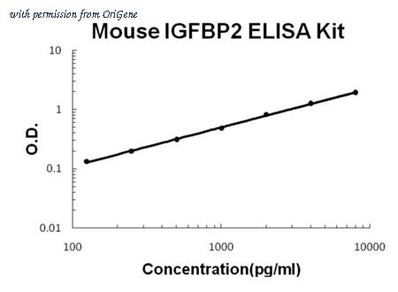 OriGene EA100257 image 1