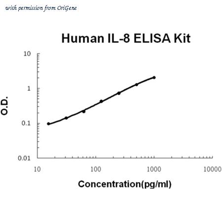 OriGene EA100282 image 1