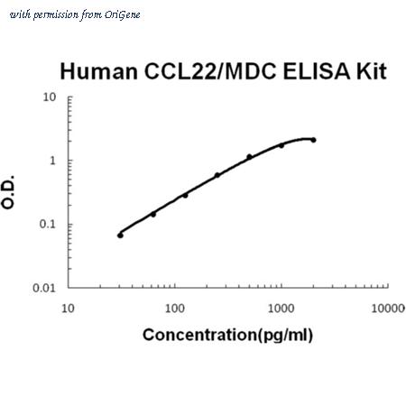 OriGene EA100307 image 1