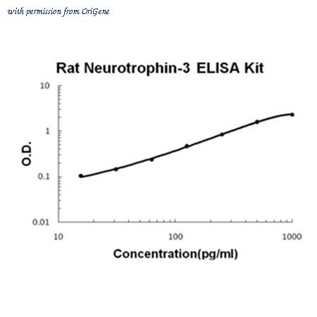 OriGene EA100332 image 1