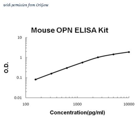 OriGene EA100338 image 1