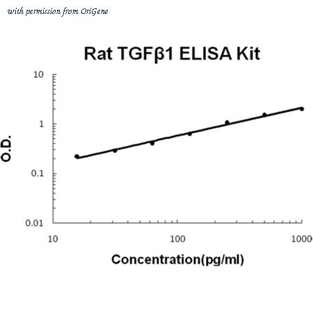 OriGene EA100356 image 1