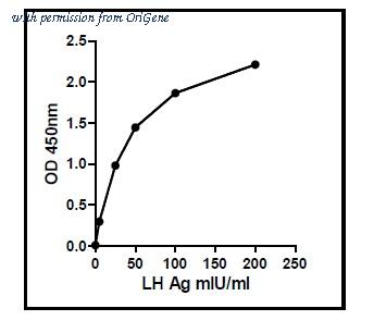 OriGene EA100844 image 1
