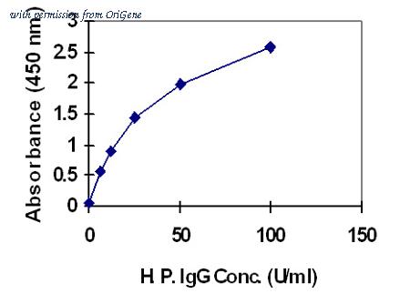 OriGene EA100993 image 1