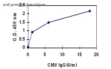 OriGene EA101000 image 1