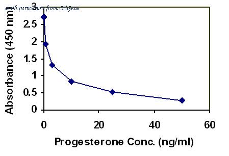 OriGene EA101007 image 1