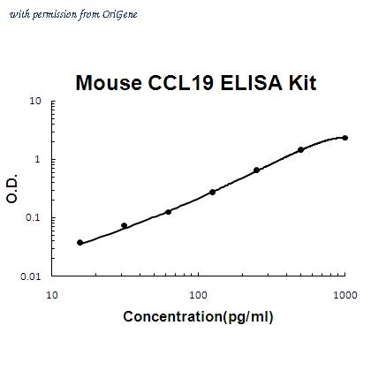 OriGene EA102186 image 1