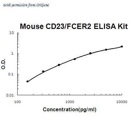 OriGene EA102238 image 1
