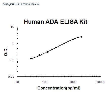 OriGene EA102318 image 1