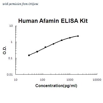 OriGene EA102341 image 1