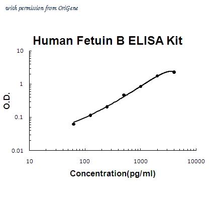 OriGene EA102347 image 1
