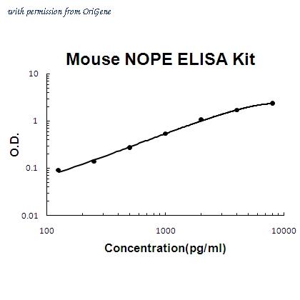 OriGene EA102365 image 1