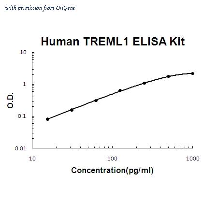 OriGene EA102366 image 1