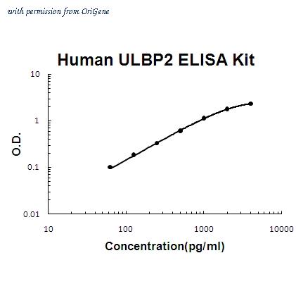 OriGene EA102426 image 1