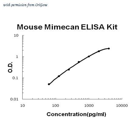 OriGene EA102441 image 1