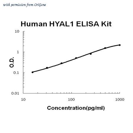 OriGene EA102460 image 1