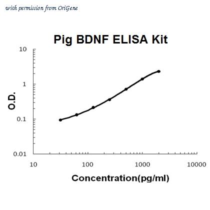 OriGene EA102785 image 1