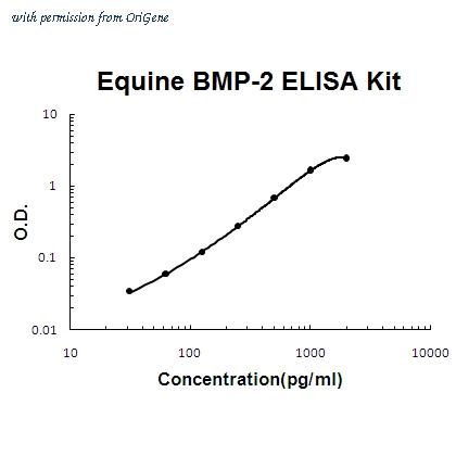 OriGene EA102796 image 1