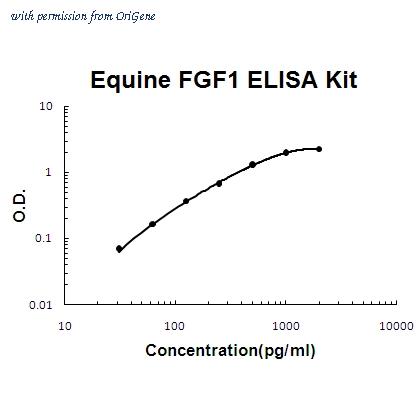 OriGene EA102803 image 1