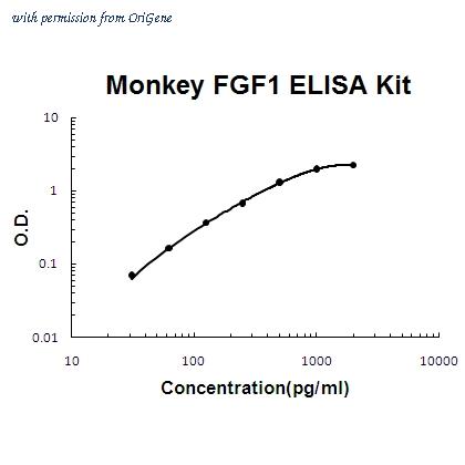 OriGene EA102804 image 1