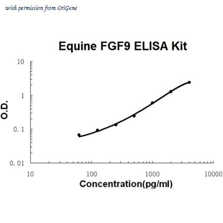 OriGene EA102806 image 1