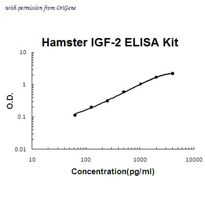 OriGene EA102812 image 1