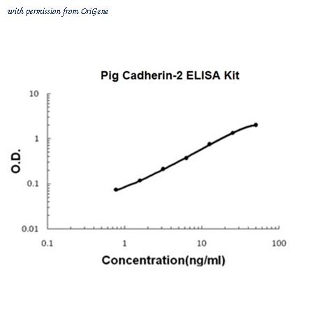 OriGene EA102835 image 1