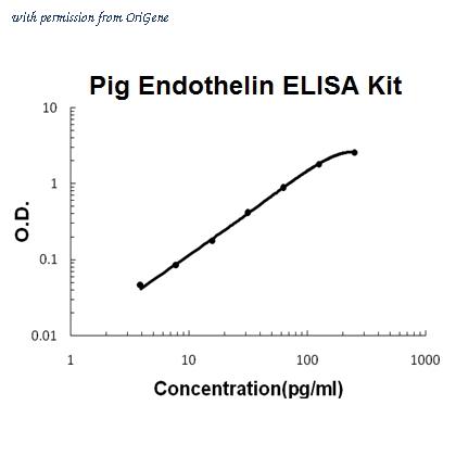 OriGene EA102848 image 1