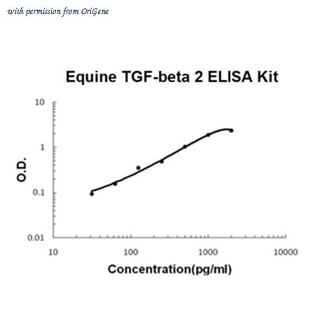 OriGene EA102854 image 1