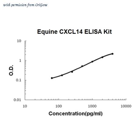 OriGene EA102866 image 1