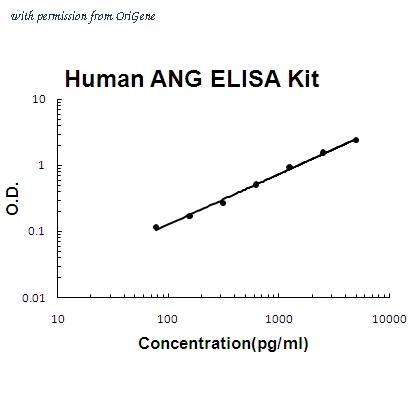 OriGene EA102911 image 1