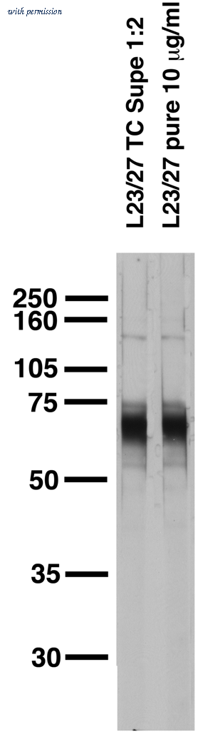 OriGene 73-009 image 1