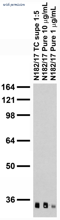 OriGene 73-190 image 1