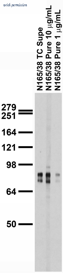 OriGene 73-193 image 1