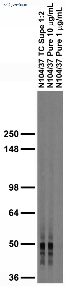 OriGene 75-155 image 1