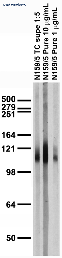 OriGene 75-185 image 1