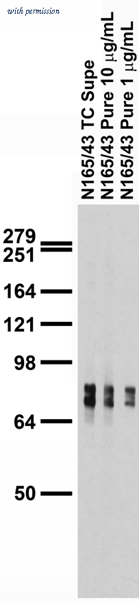 OriGene 75-194 image 1