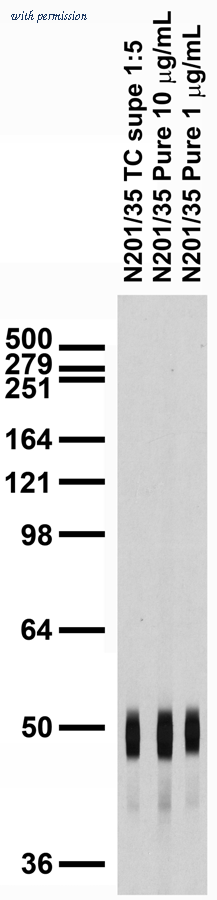 OriGene 75-233 image 1